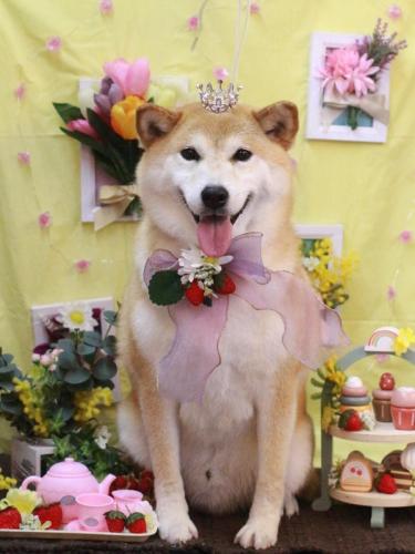 20230301平太くん